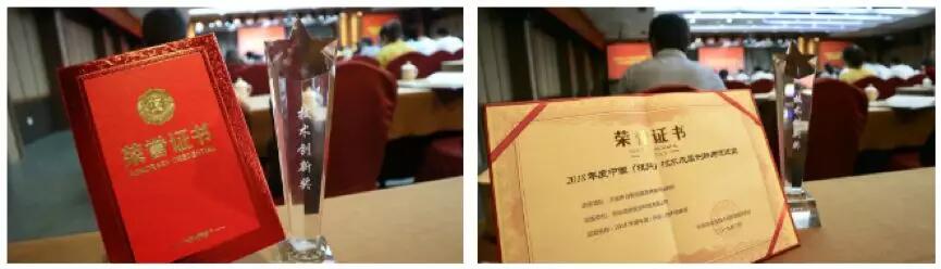 【合作伙伴】遠傳技術(shù)斬獲杭州市2018年度技術(shù)成果創(chuàng)新與促進獎